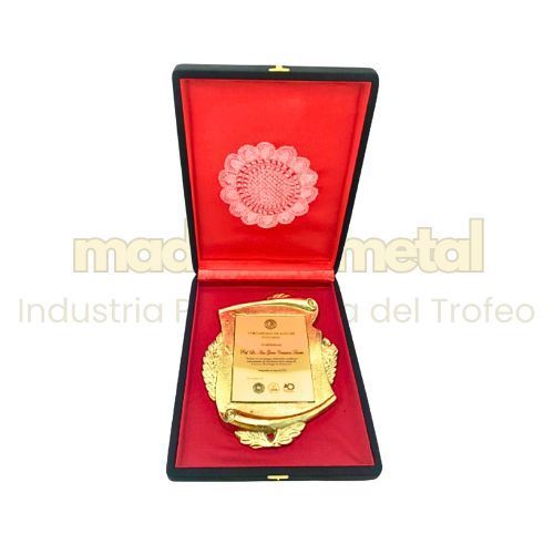 Imagen de Placa de reconocimiento - M3.E.5002